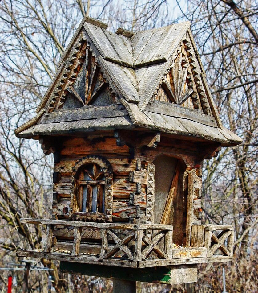 Spectacular bird house? Nobody home!...