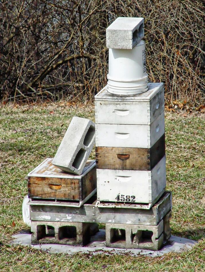 Sturdy hive? No bees buzzing!...