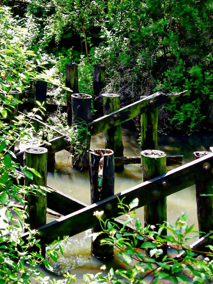 An ex-wooden bridge across a small stream, allowin...