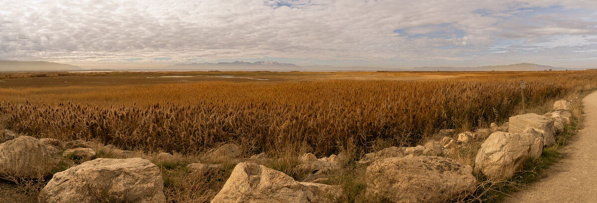 View south with Antelope Island on the right...