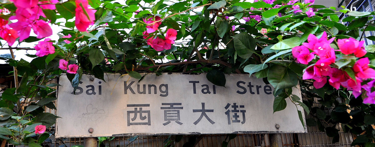 5 - Street sign in the village topped by bougainvi...