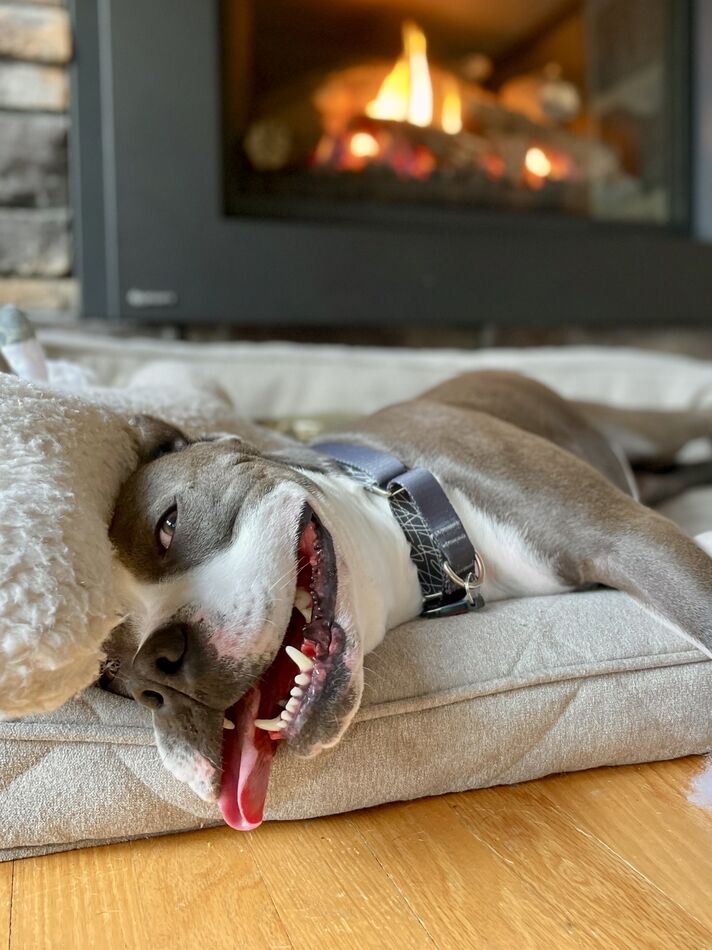 Nothing like relaxing in front of the fire......