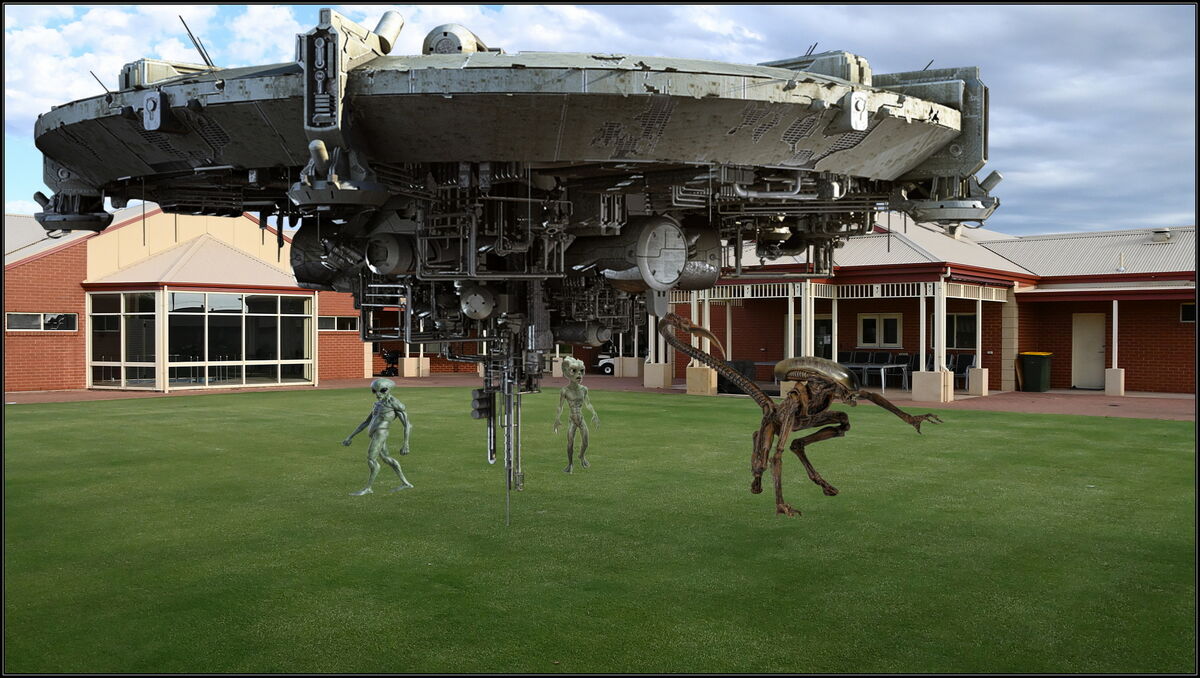 They've arrived. Landed on the Croquet green in the Village yesterday...