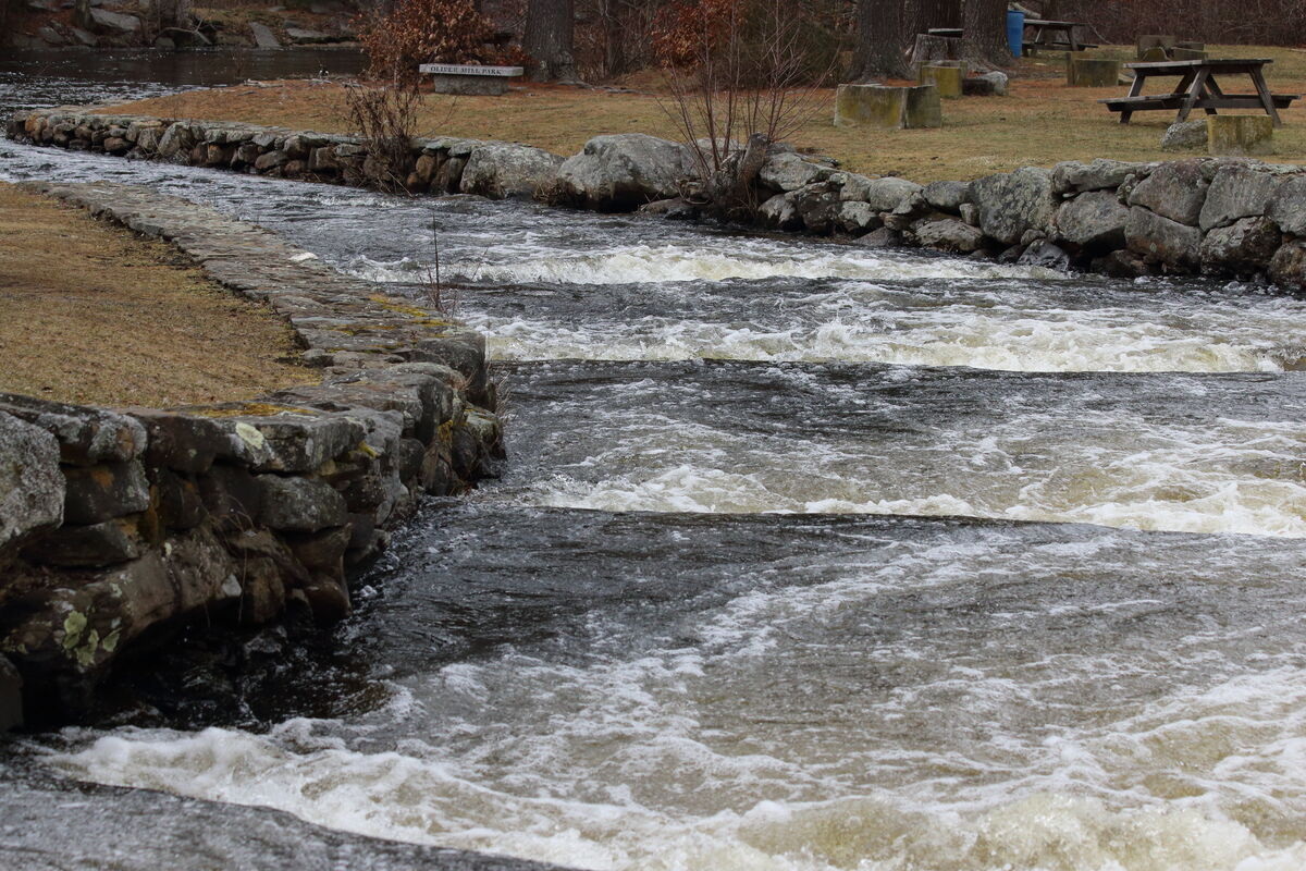 Oliver Mill Park Middleboro MA In search of Herring yesterday we went
