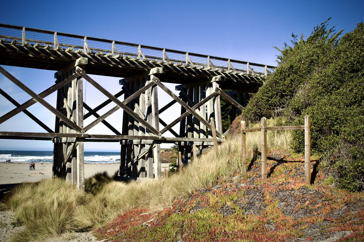 Ye Old train trestle as seen at "Pudding Creek"now...