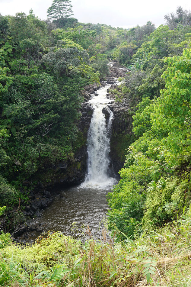 Kamaee Falls near Hakalau, Big Island, Hawaii - Se...