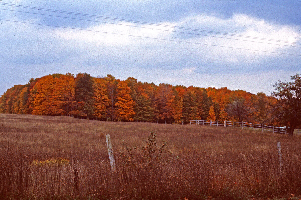 Fall colors near Lewiston, Michigan - September 19...