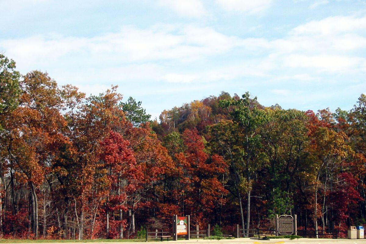 Fall colors near Black River Falls, Wisconsin - Oc...