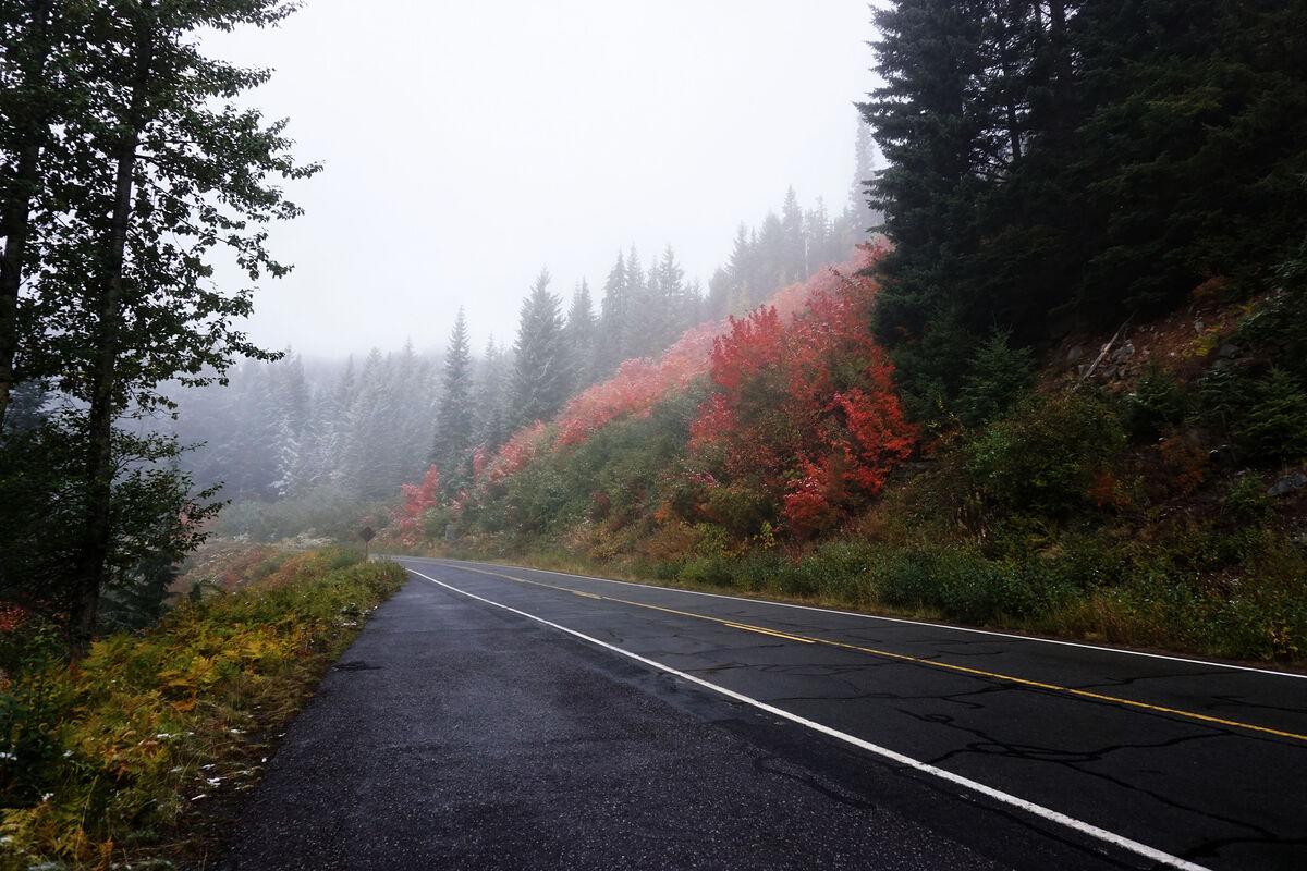 Fall colors near the Mount Rainier National Park, ...