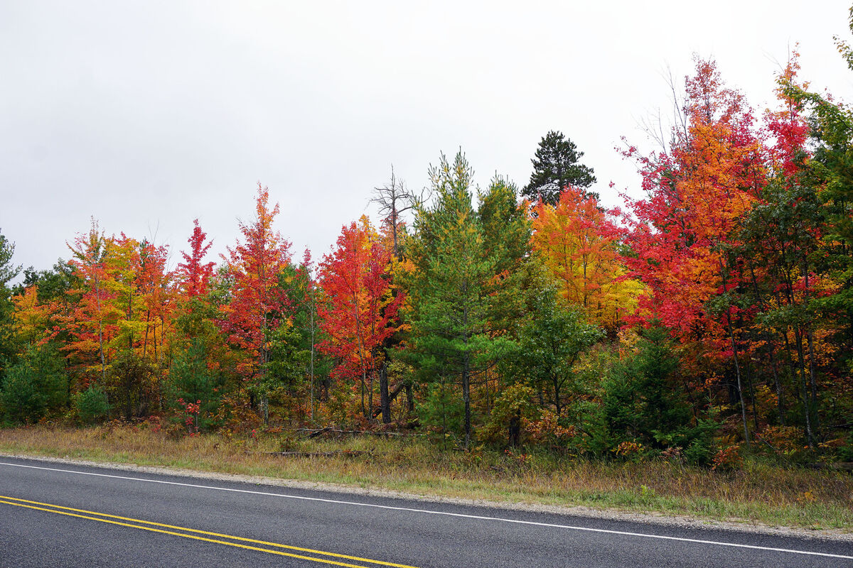 Fall colors near Lewiston, Michigan - October 2018...