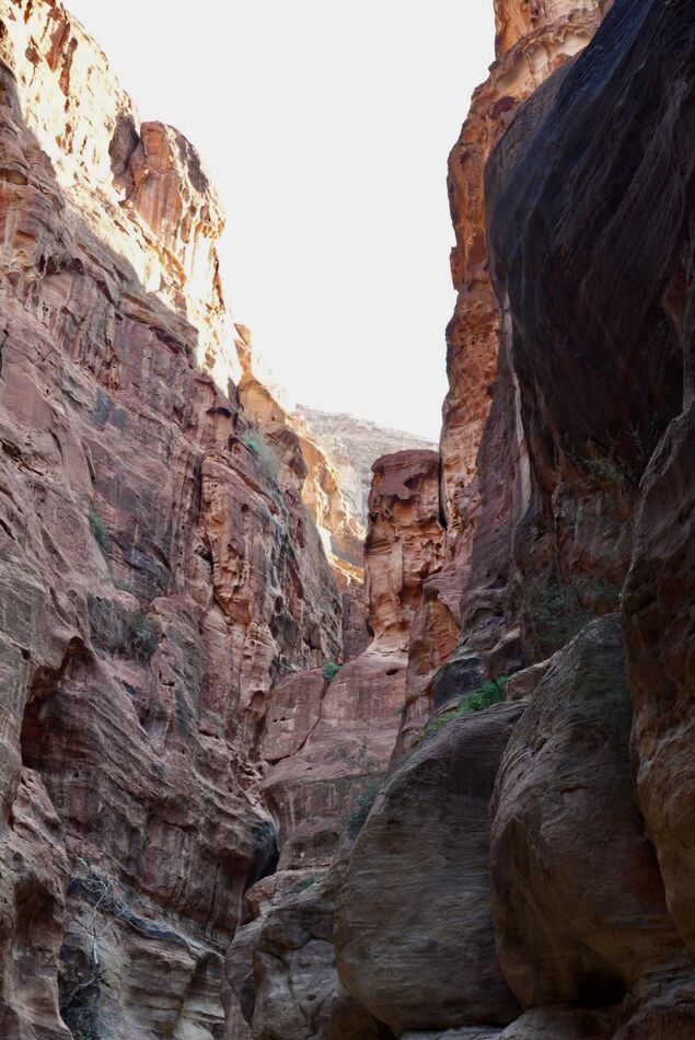 The walk thru the canyon to Petra...
