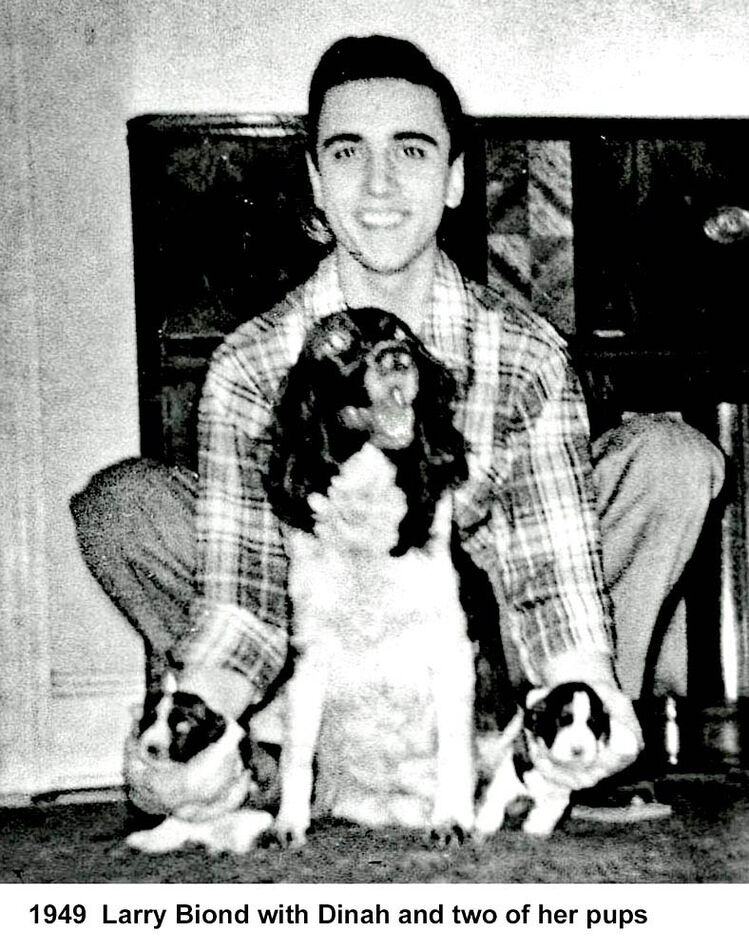 1949  Me againat 16 with our English Springer Span...