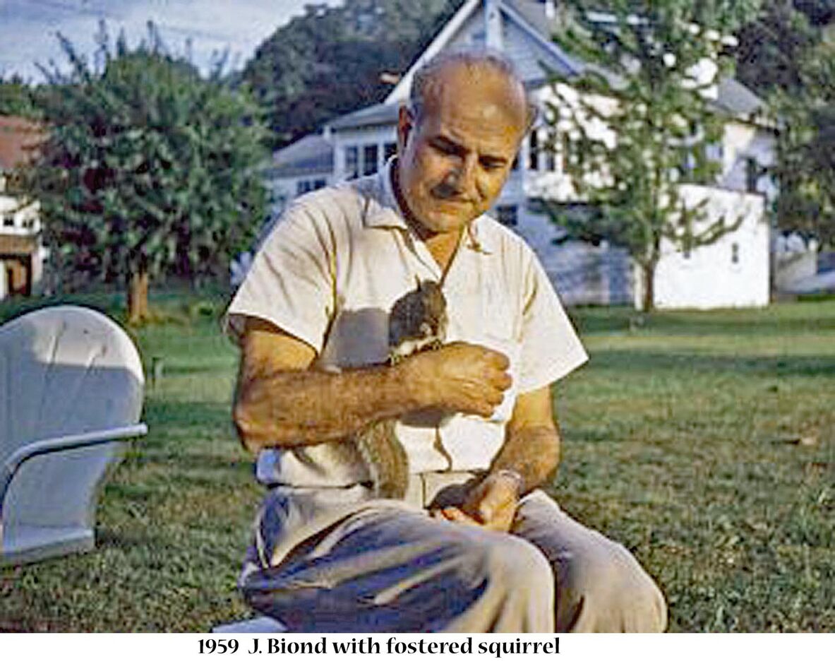 1959 My father with his rescued squirrel. Brought ...