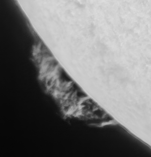 Ha Solar - Nice 'Hedgerow' Prominence...