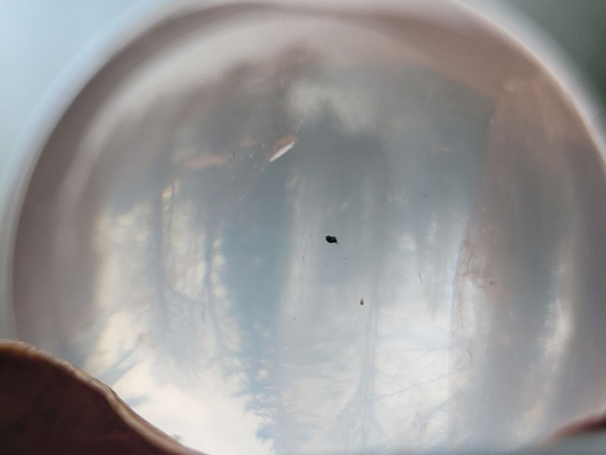 Newest toy I bought a Rose Quartz crystal ball. My first crystal ball