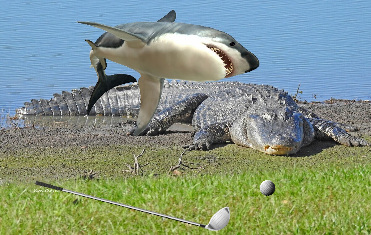 Sharknado on a Golf Course...