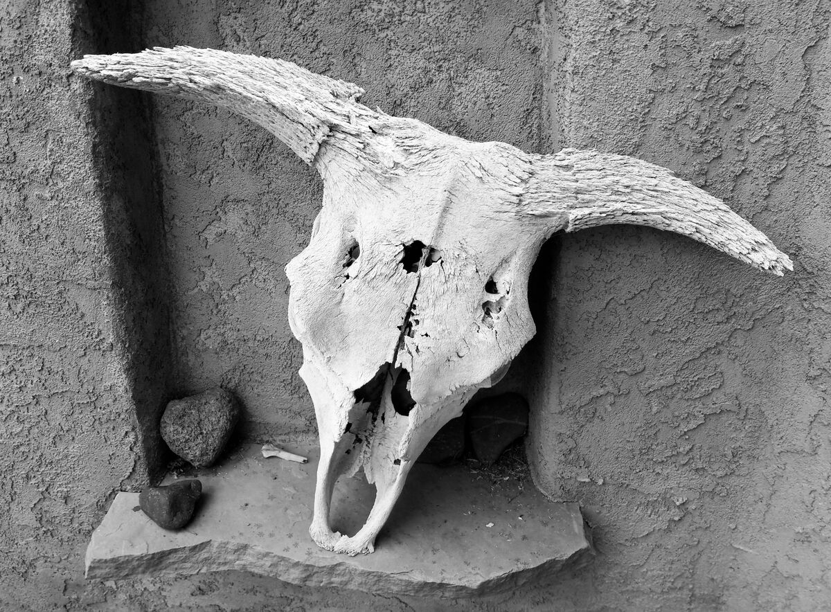 Bull skull in recess in wall...