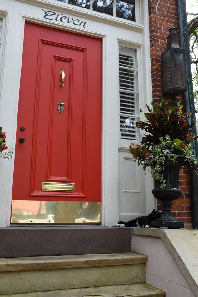 cat guards red door in Savannah...