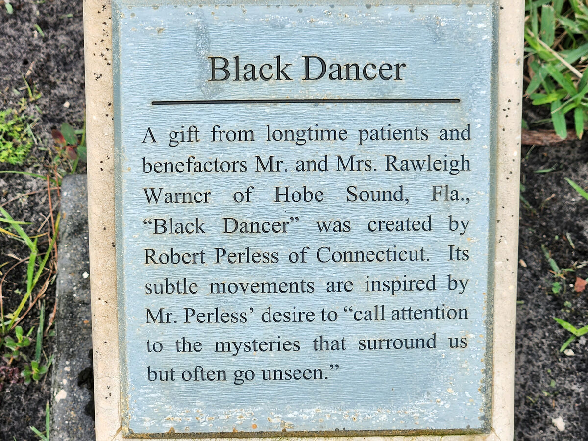 Info on Black Dancer...