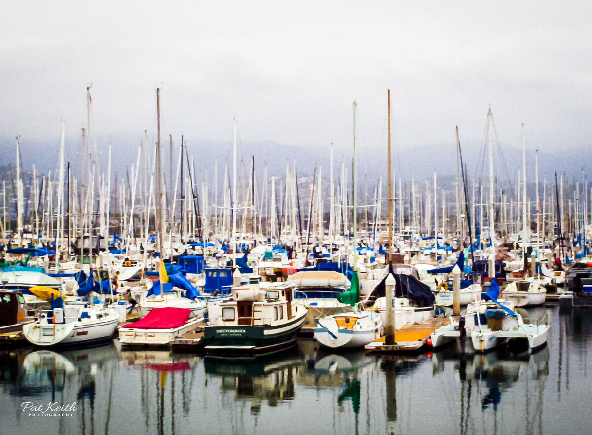 A Northern California harbor keeps the residents s...