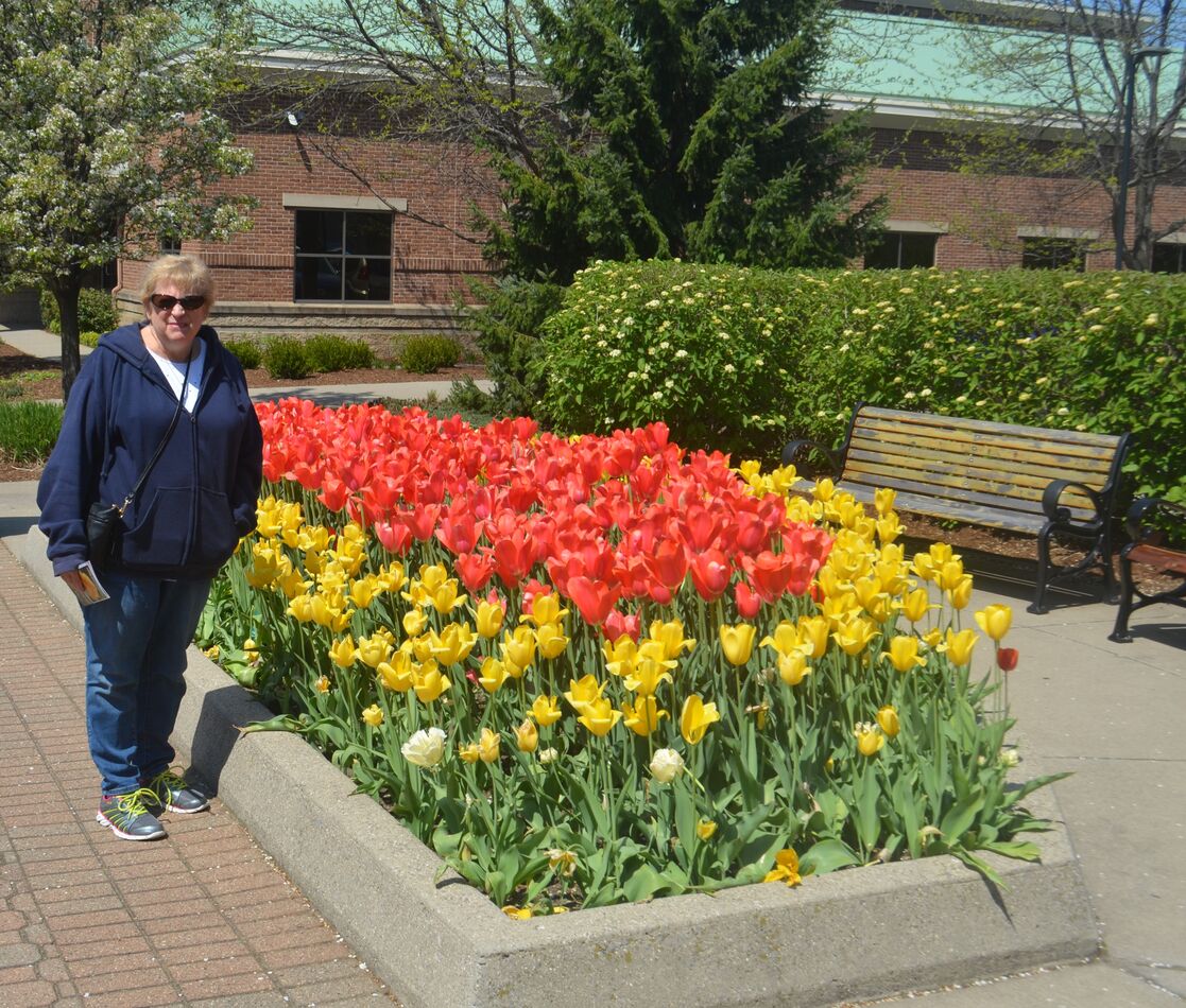 My wife checking out tulip display....