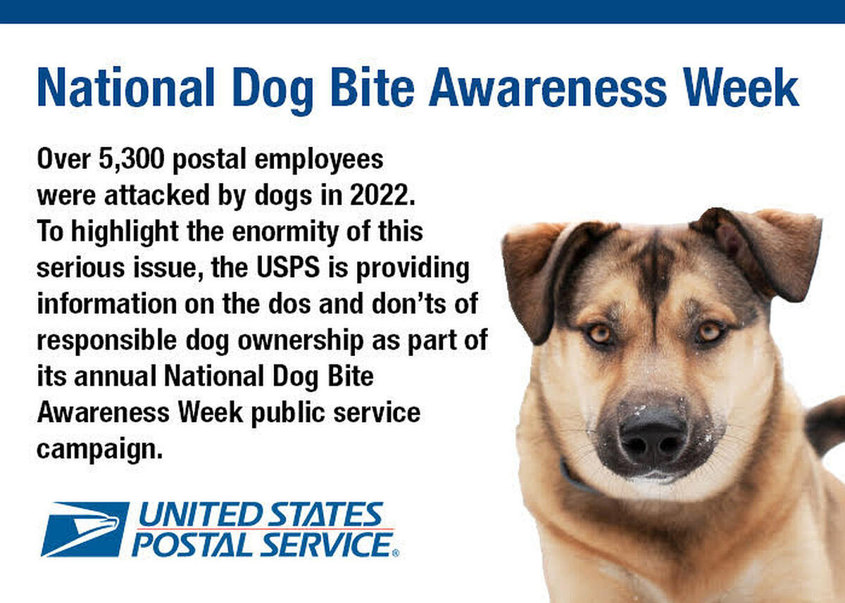National Dog Bite Awareness Week From the USPS Fortunately, our mail