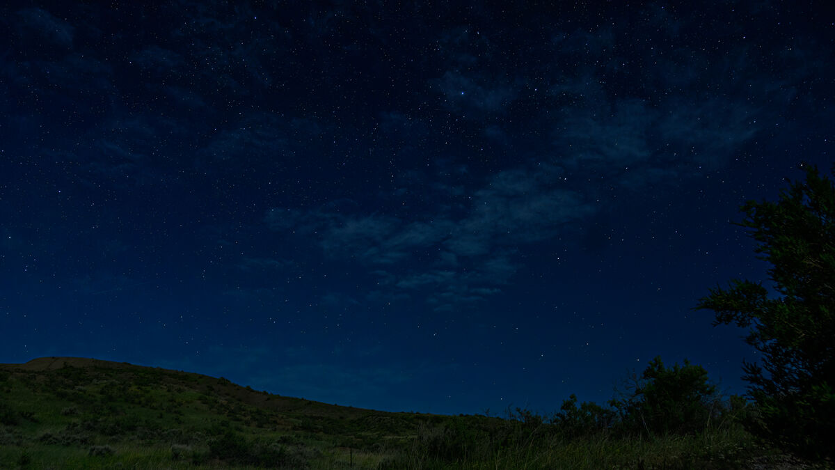 Night sky...so many stars...