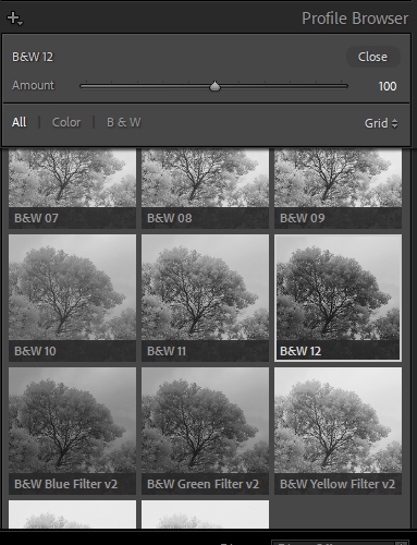 A better way, open the Lightroom Profile Browser a...