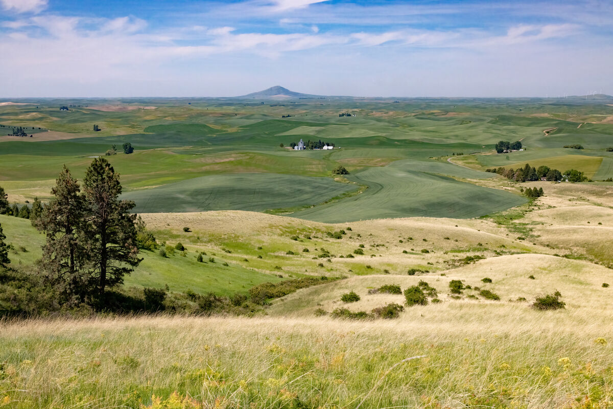 An aerial view of The Palouse country from Skyline...