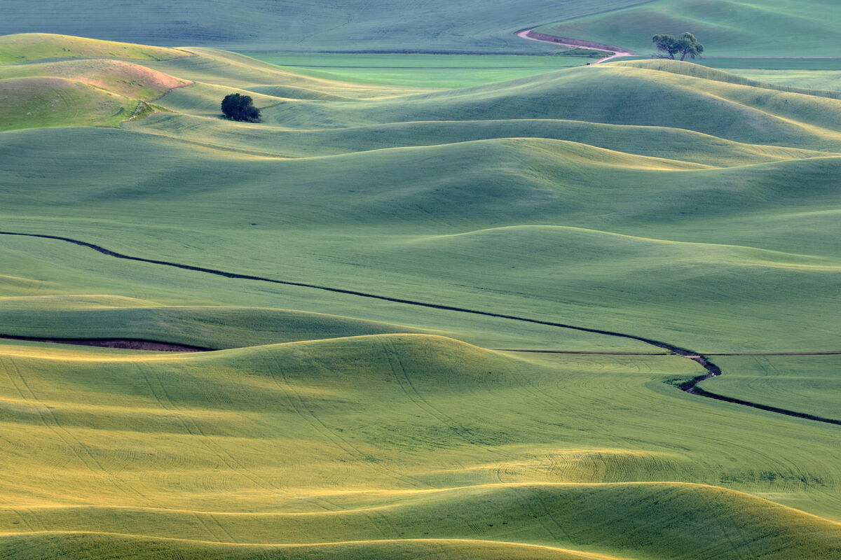The Palouse farmland from Steptoe Butte in late af...
