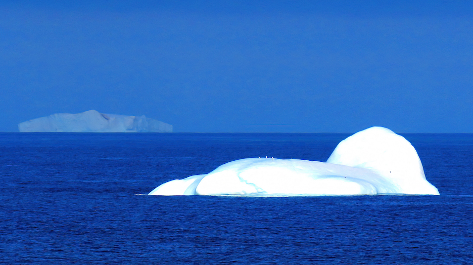 A relatively small iceberg.  The penguins are abou...