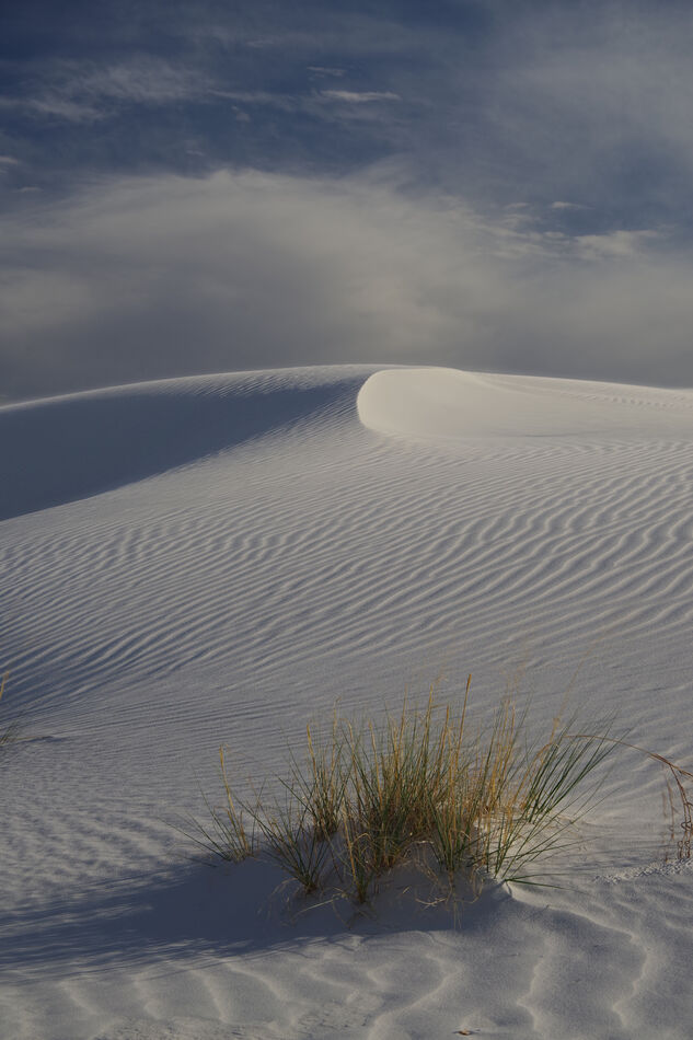 White Sands Afternoon...