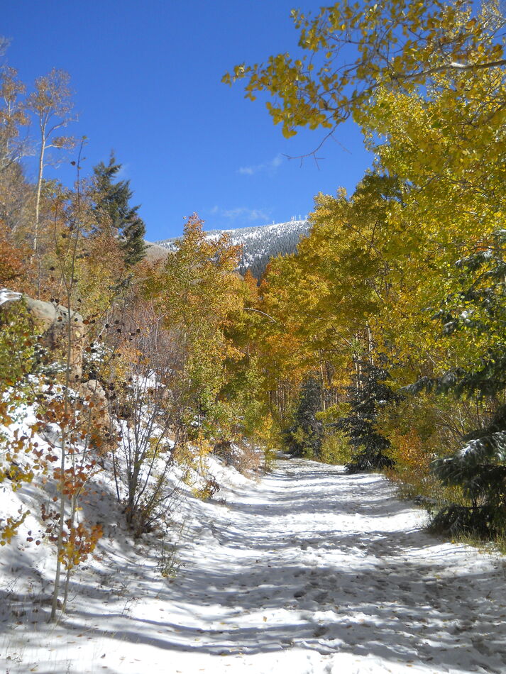 More autumn/early winter in Northern New Mexico...