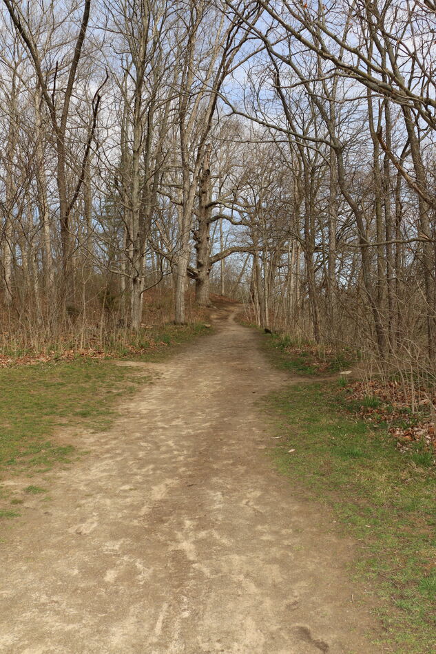 The first 3 of these paths were in the Indiana Aut...