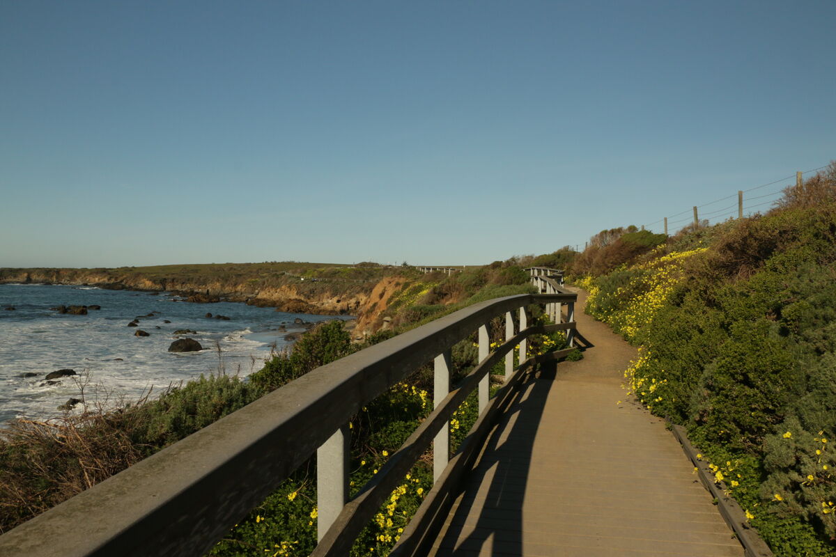 This path leads beside the Pacific Coast in Califo...