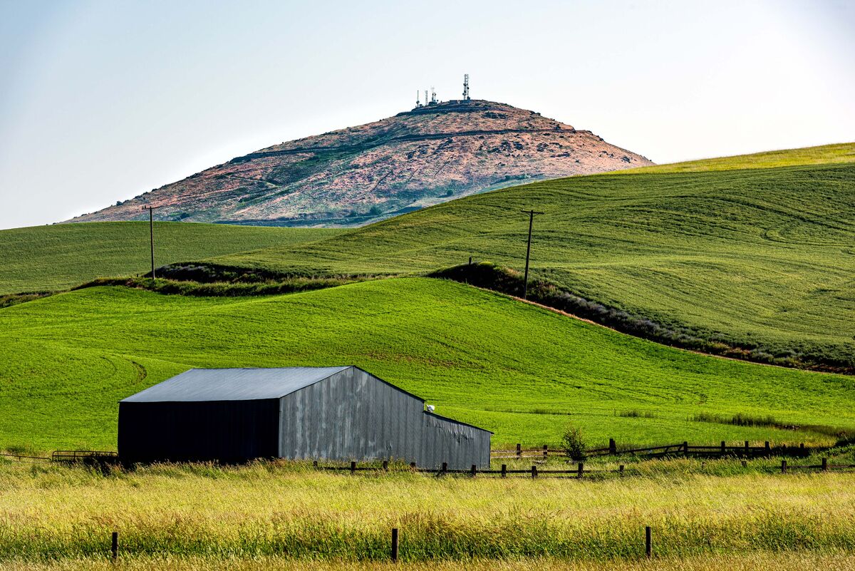 Looking back at Steptoe Butte....