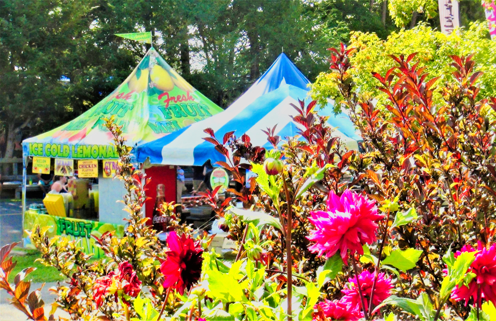 Dutchess County Fair 1 This is one of those events that remains