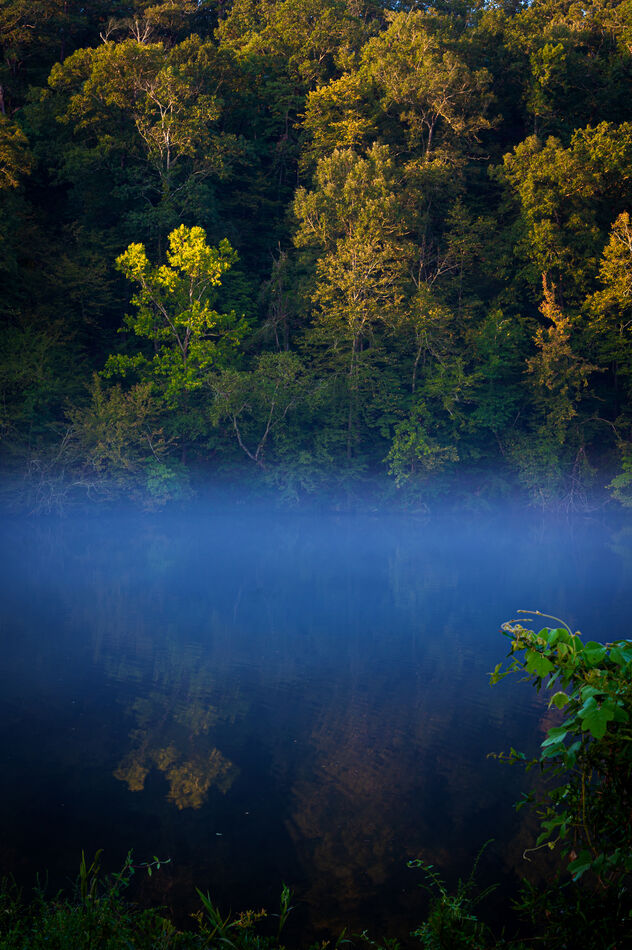 Morning Mist My wife and I just got back from a camping trip to Hot
