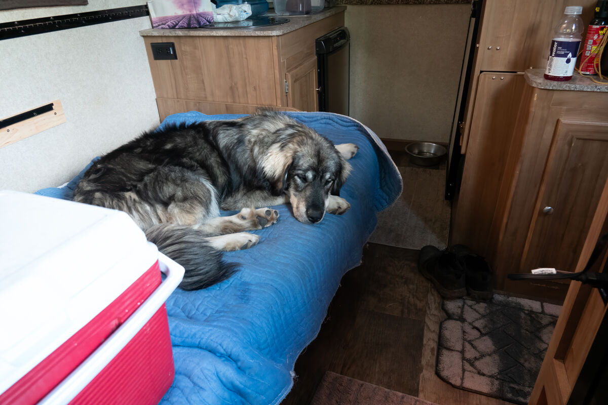 Back at the camper.  One very tired Arya!...