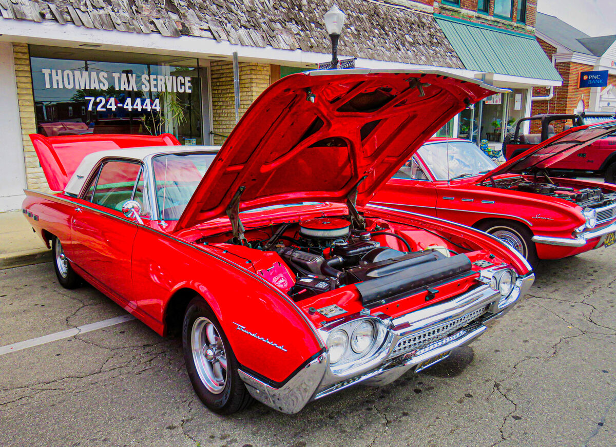 BirdsFord Style With a Torino and a Ranchero thrown in. Taken at a