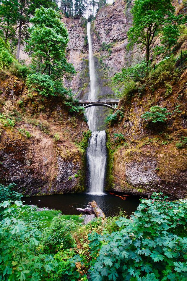 Multnomah Falls, Oregon's tallest falls 620ft...