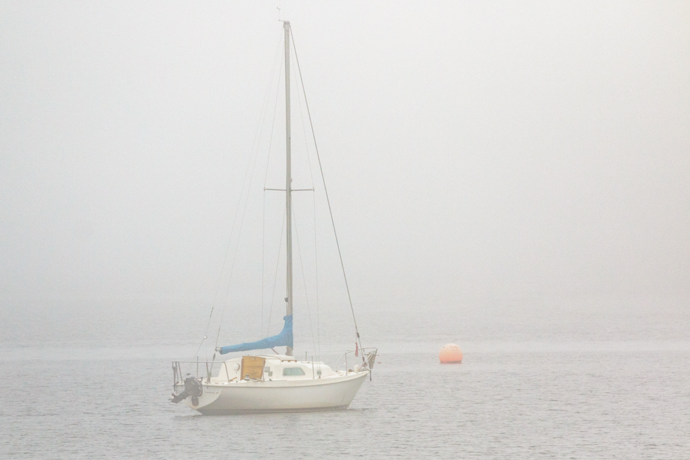 Sailboat in the fog...