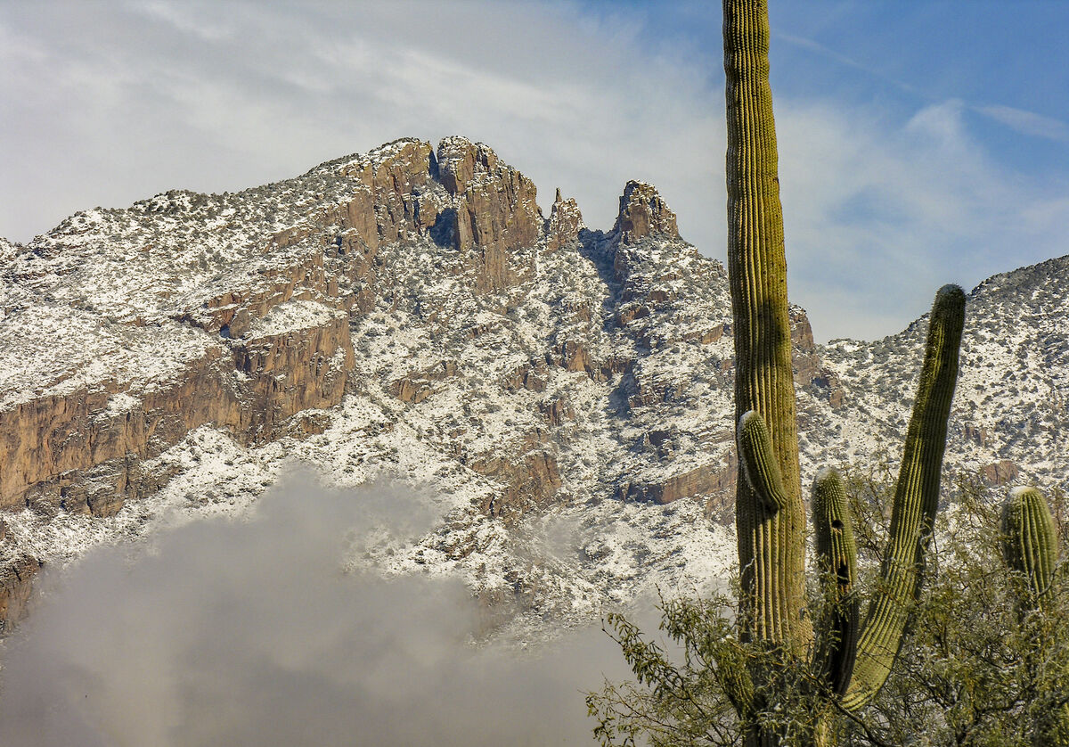 Snow, in the Catalina mountains, Tucson, AZ...