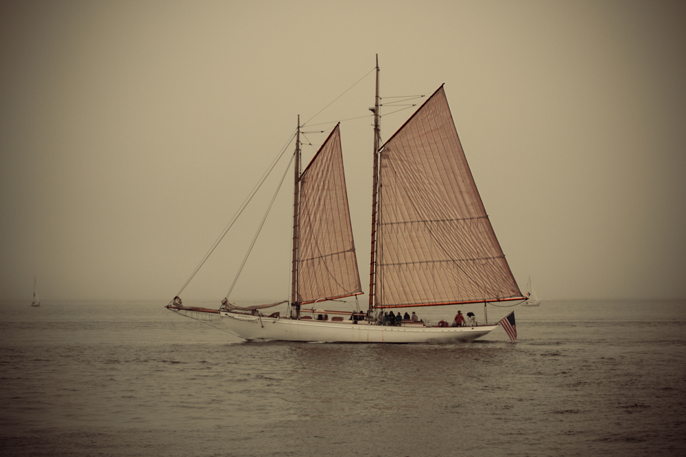 Sailboat - touring the harbor...