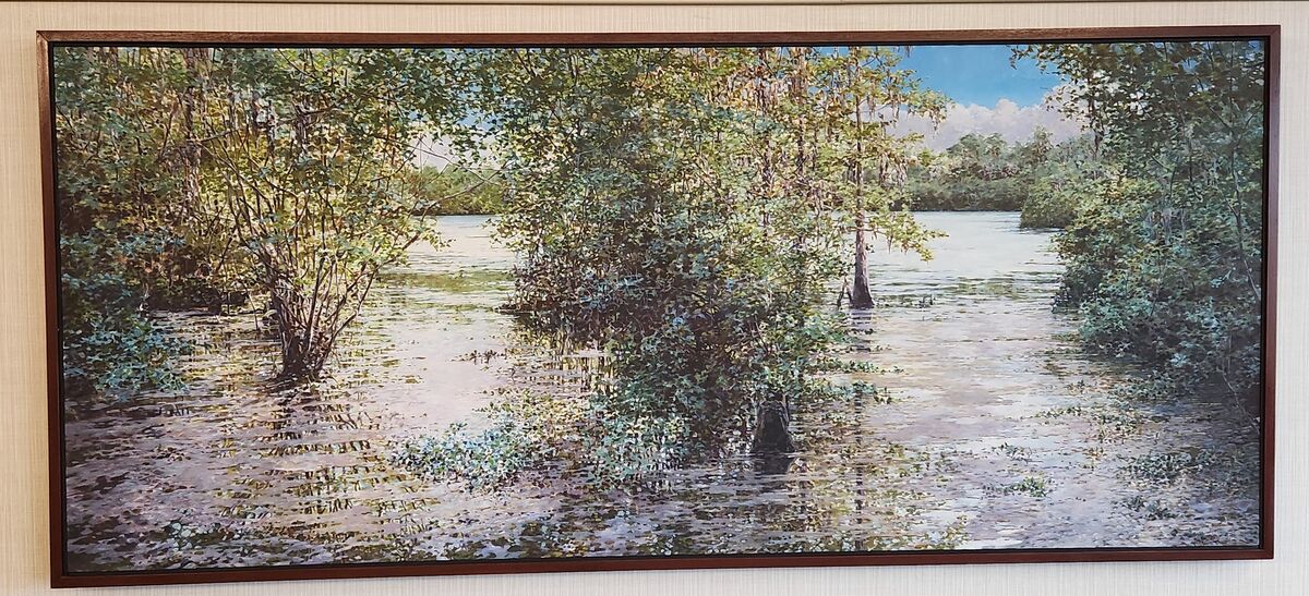 More art work from the Mayo clinic, Jacksonville These were on the