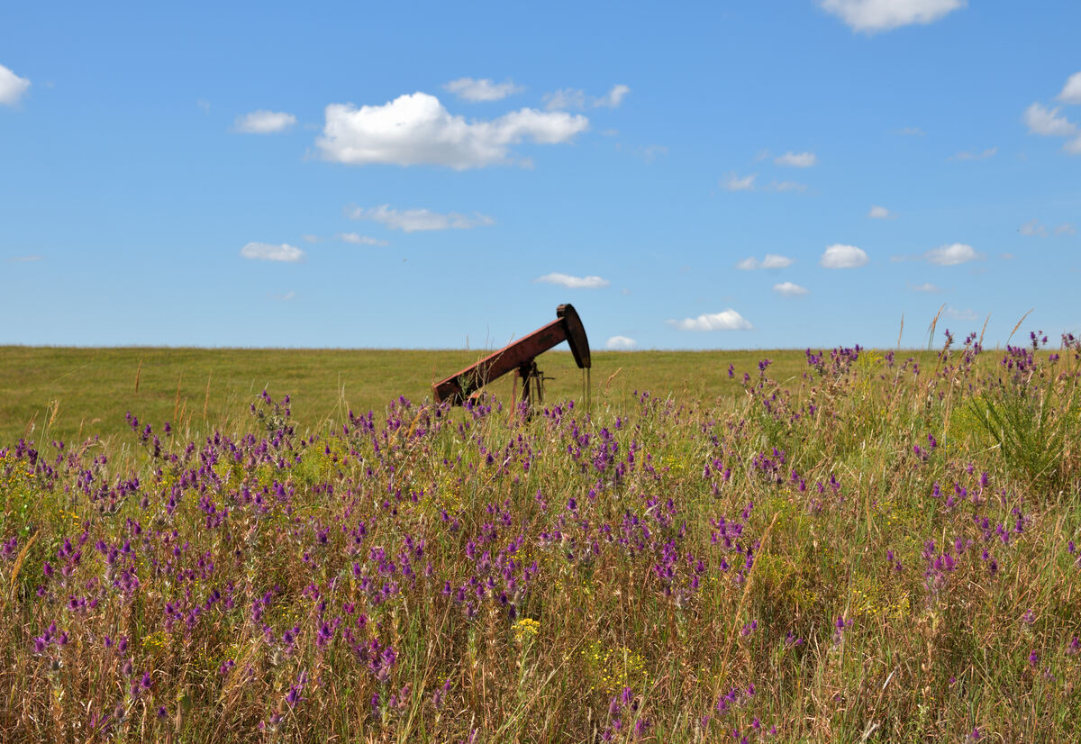 Oil pumps are scattered about the preserve....