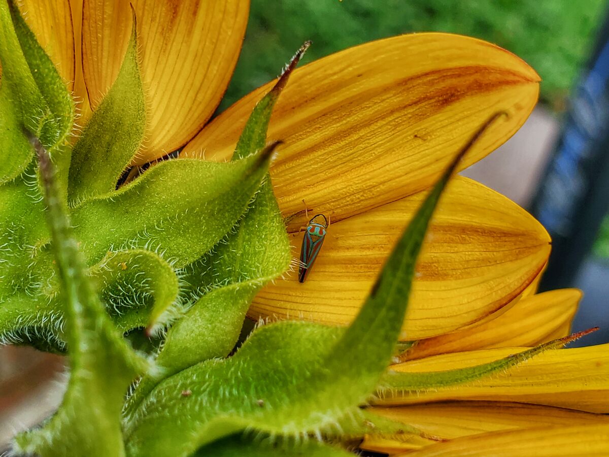 Good place to rest Shot with my android and light edit in snapseed