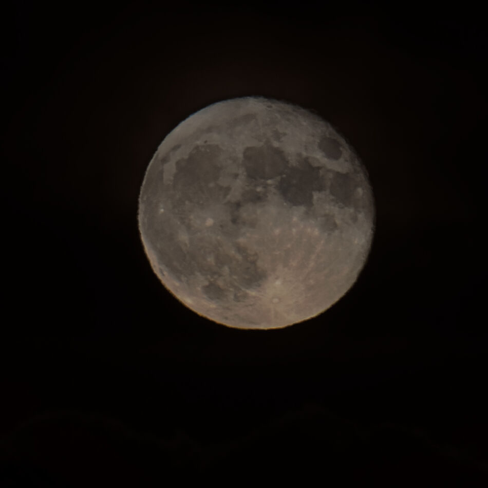 8/31 8:48pm Super blue moon  DSC 1596  339mm f7.1 ...