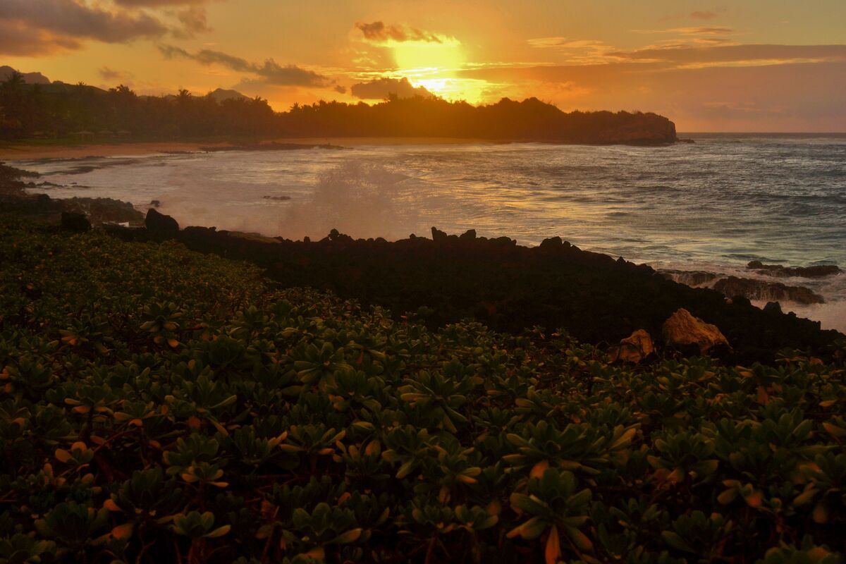 "Sunrise"   (Kauai)...