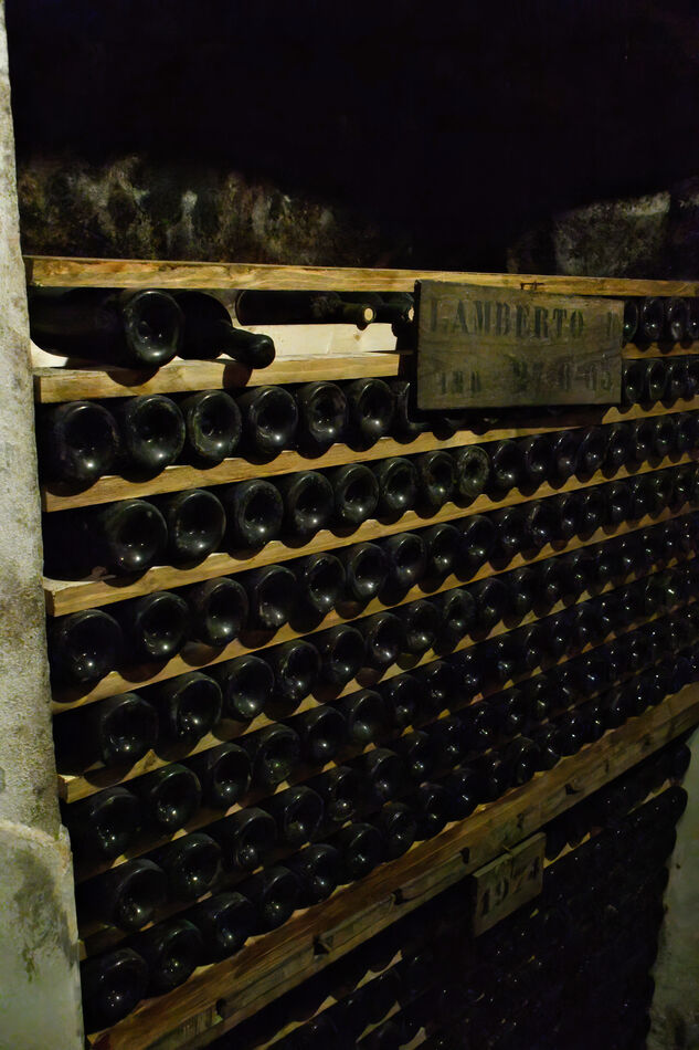 Each child has a selection of wines stored from th...